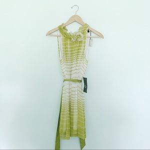 BNWT BCBG Striped Dress